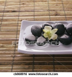 orchid-rocks
